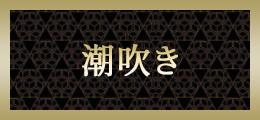 新横浜 潮吹き【熟女の風俗最終章 新横浜店